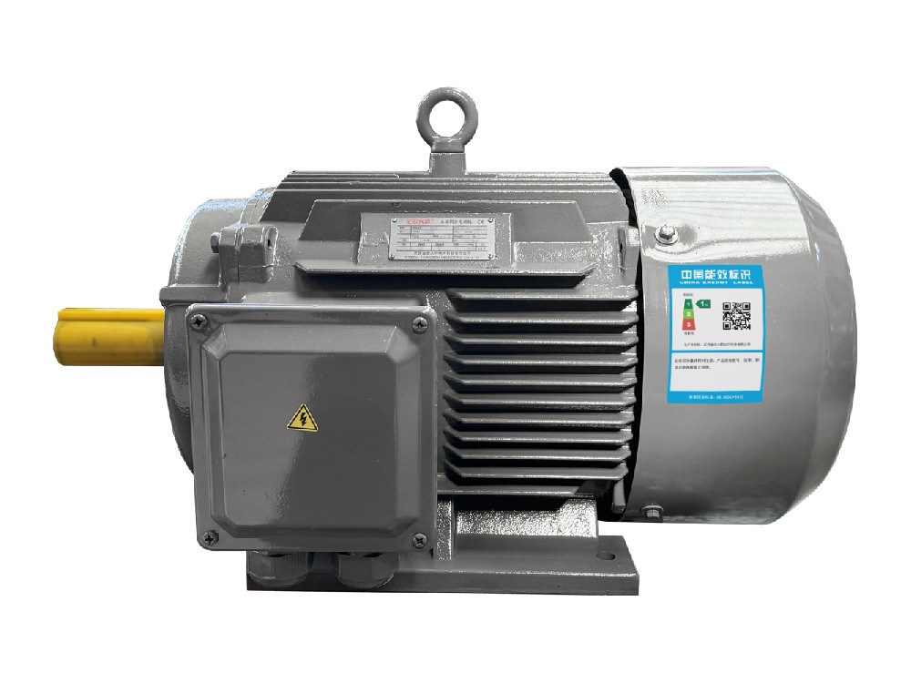 變頻驅動三相永磁同步電機